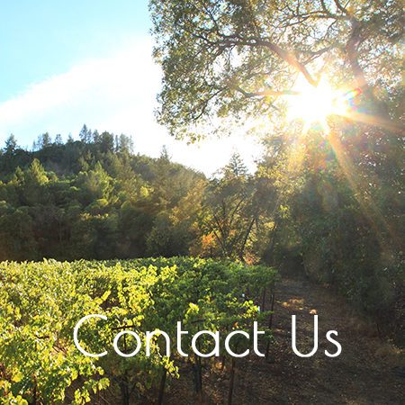 Feel free to reach out to us with any questions or comments.